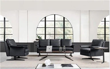 Executive Office Sofa Sets